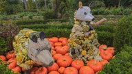Ihre schönste Herbstdeko