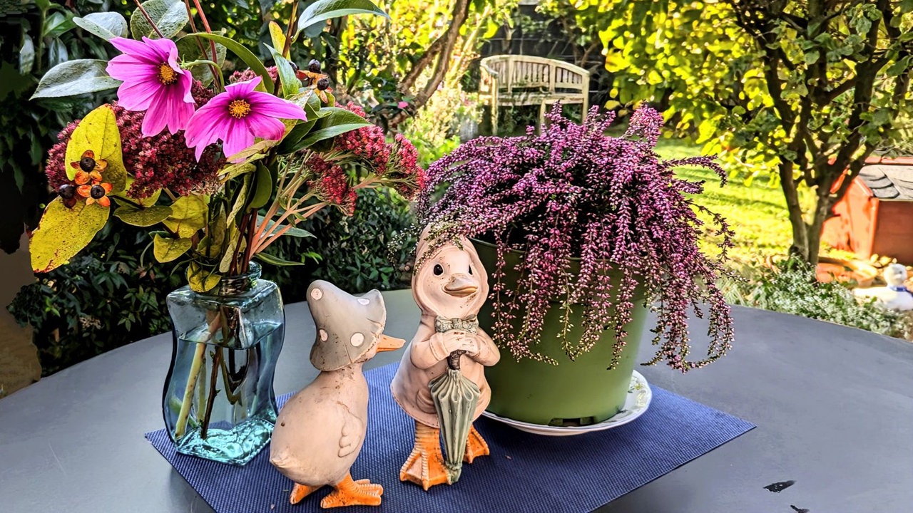 Ihre schönste Herbstdeko