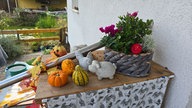 Ihre schönste Herbstdeko
