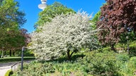 Ihre schönsten Parkfotos