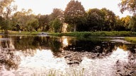 Ihre schönsten Parkfotos