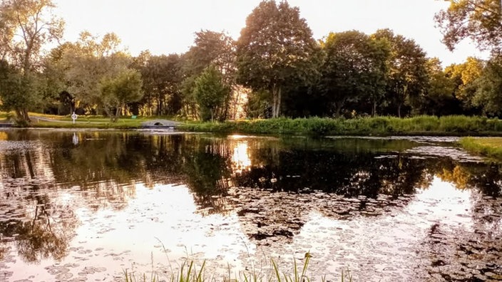 Ihre schönsten Parkfotos