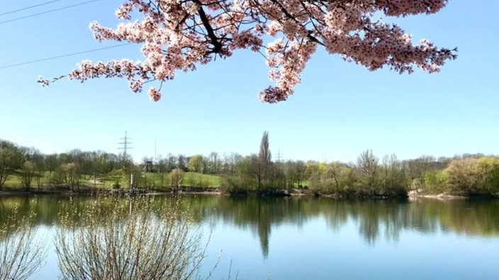 Ihre schönsten Parkfotos