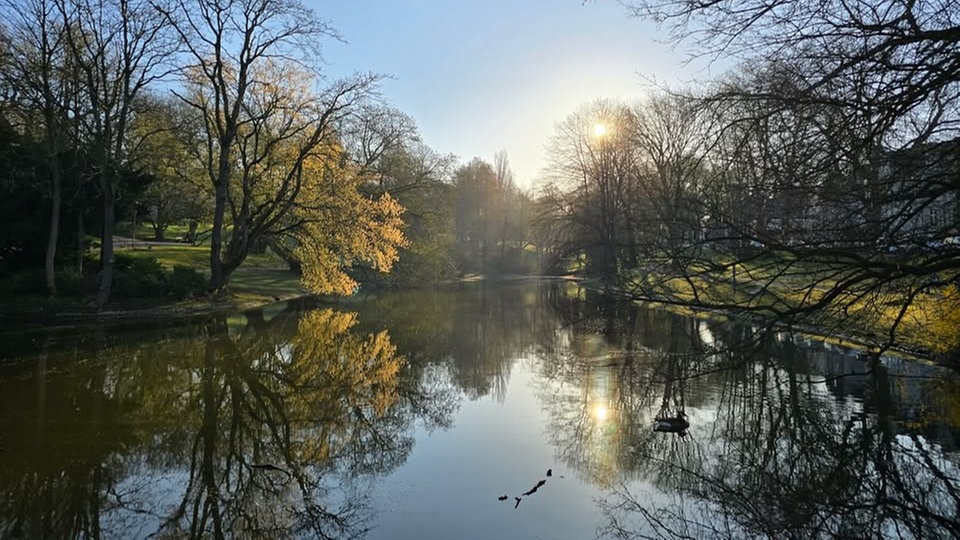 Ihre schönsten Parkfotos