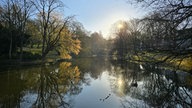 Ihre schönsten Parkfotos