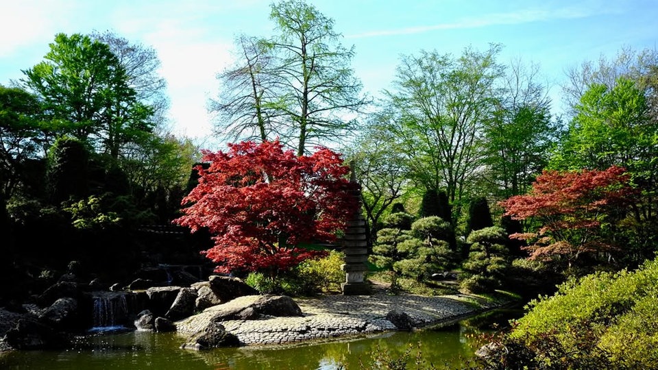 Ihre schönsten Parkfotos