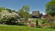 Ihre schönsten Parkfotos