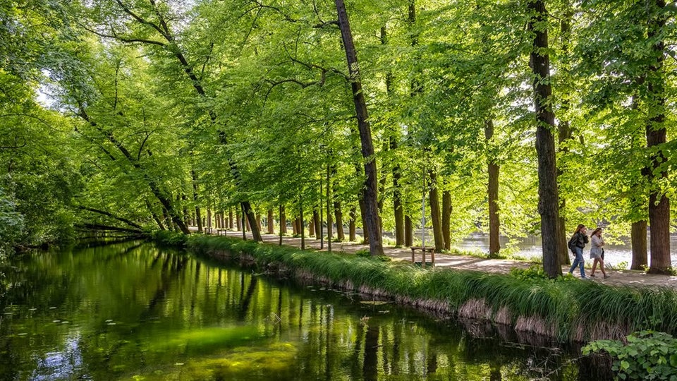 Ihre schönsten Parkfotos