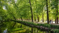 Ihre schönsten Parkfotos