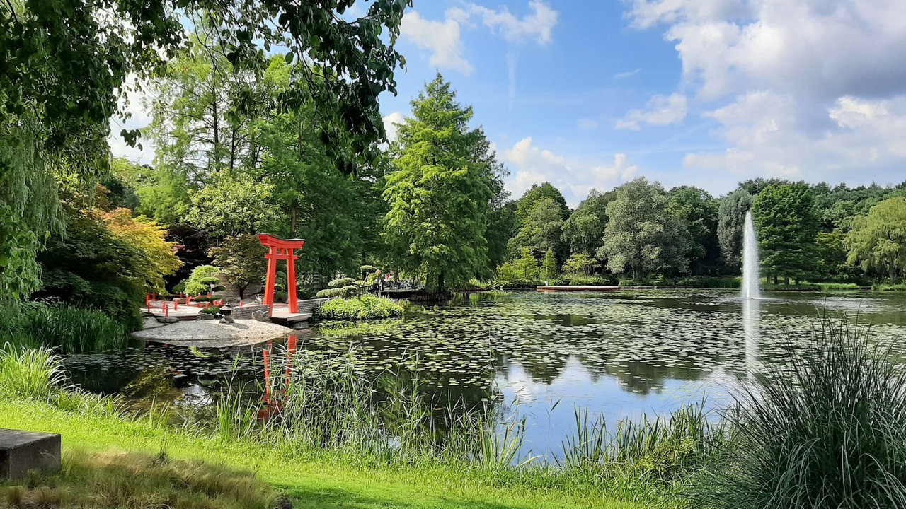Ihre schönsten Parkfotos