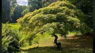 Ihre schönsten Parkfotos