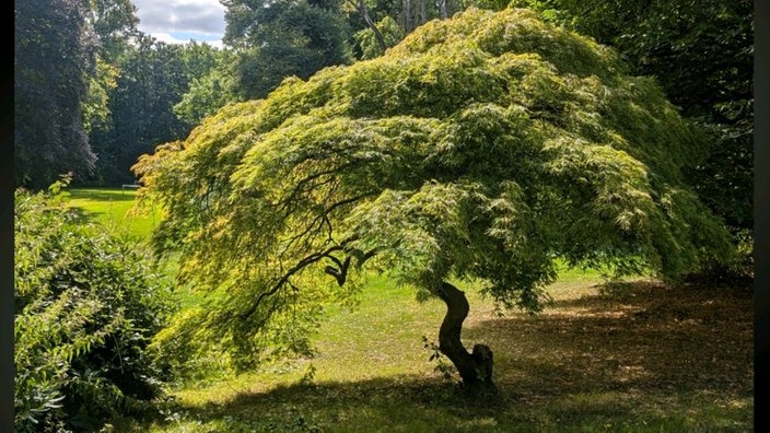 Ihre schönsten Parkfotos