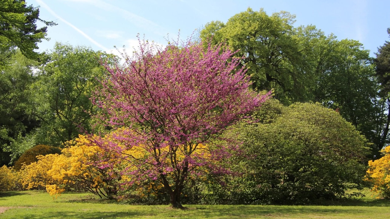 Ihre schönsten Parkfotos