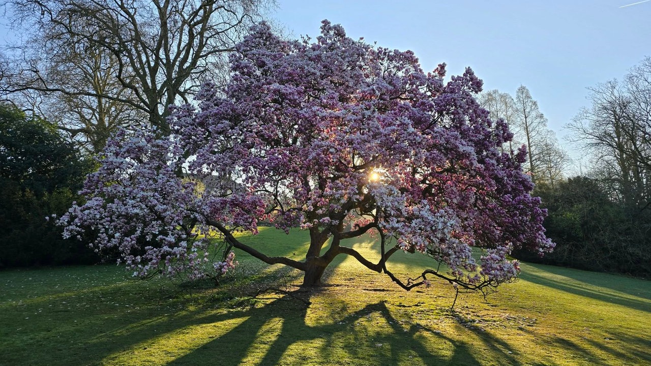 Ihre schönsten Parkfotos