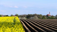 Rapsfeld neben Spargelfeld, sauber gezogene brauen Ackerfurchen