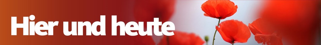 Sommerbanner von Hier und Heute
