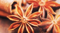 Sternanis