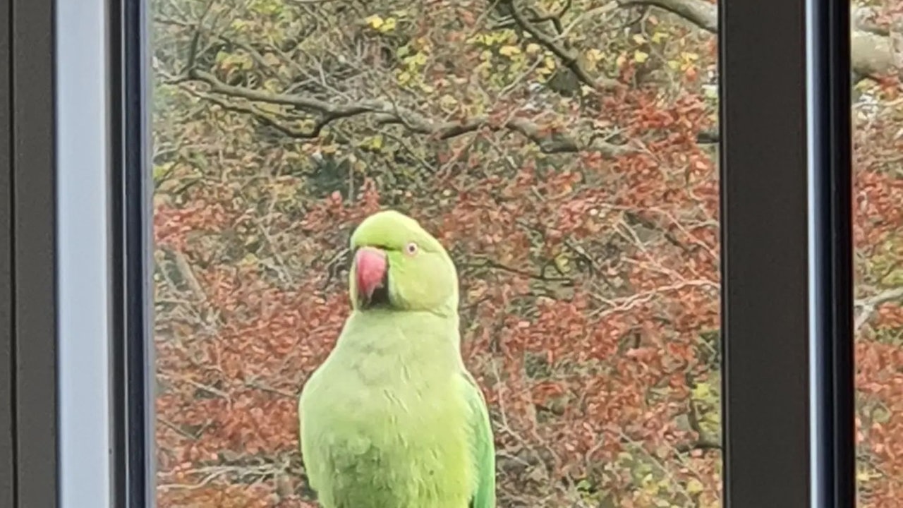 Tierbilder