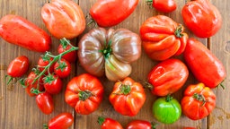 Verschiedene Tomaten