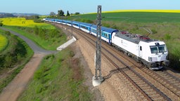 Ein Zug der Eisenbahngesellschaft České dráhy fährt an Rapsfeldern vorbei