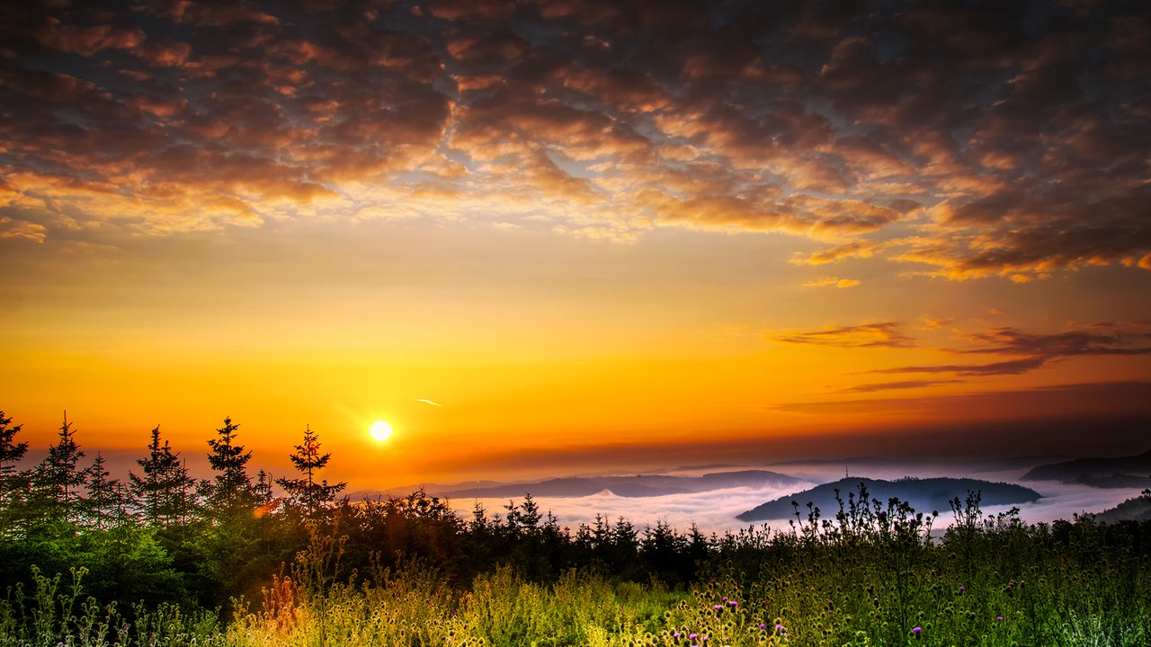 Urlaubsfoto von Tony Meyer
