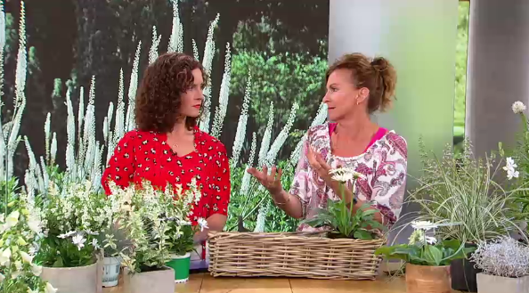 Blumenaktion mit Uta Grünwald