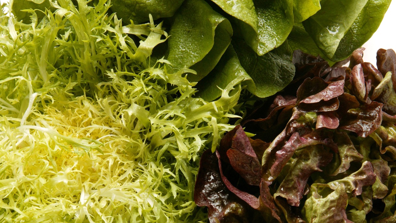 Veschiedene Salatsorten