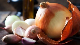 Verschiedene Zwiebelsorten