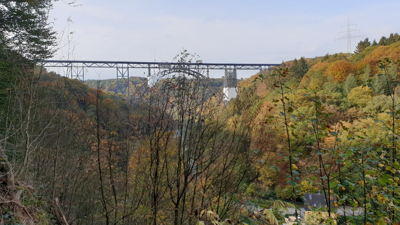 Bild Waldspaziergänge