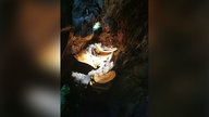 Bild Waldspaziergänge