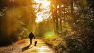 Walspaziergang,  Spaziergänger mit Hund