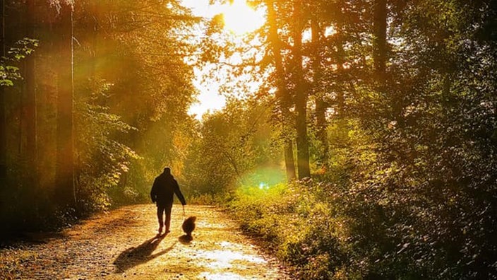 Walspaziergang,  Spaziergänger mit Hund