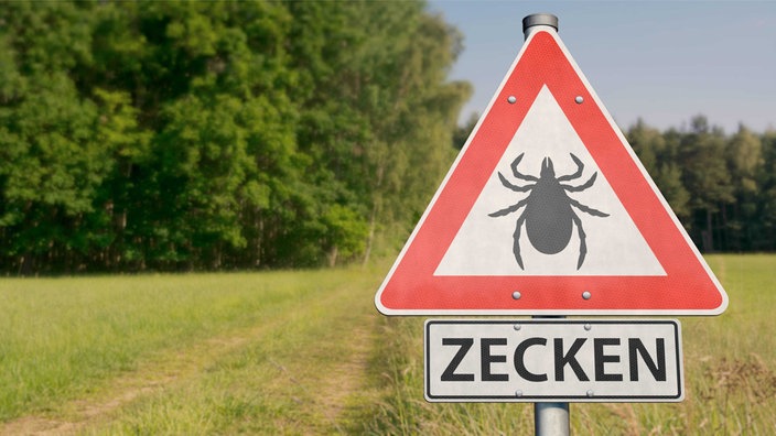 Warnung vor Zecken!