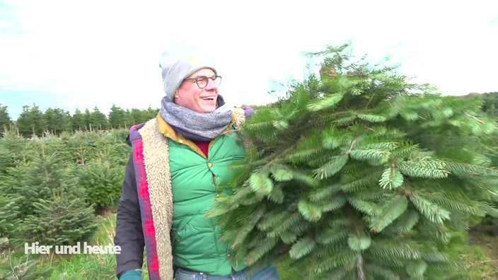 Tipps für den Weihnachtsbaumkauf