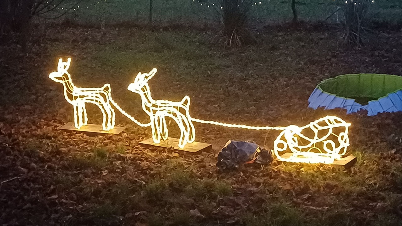 Weihnachtsbeleuchtung 