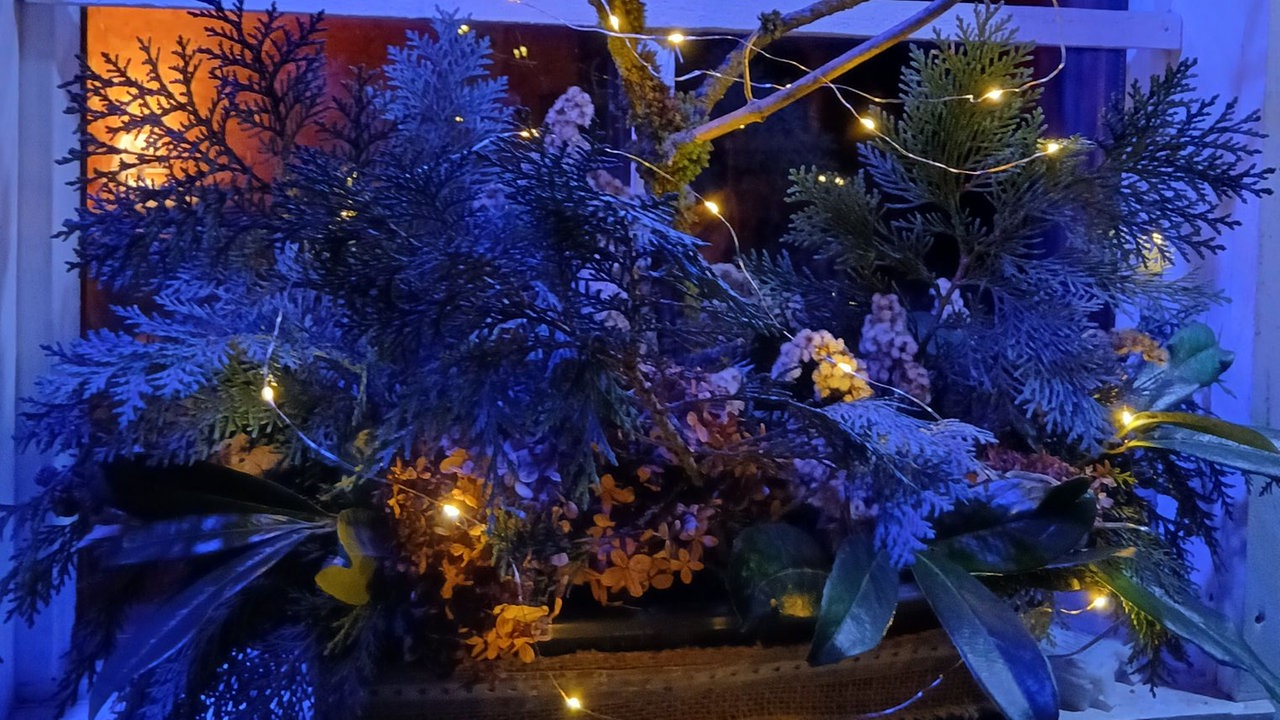 Weihnachtsbeleuchtung 