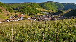 Weinberge im Ahrtal