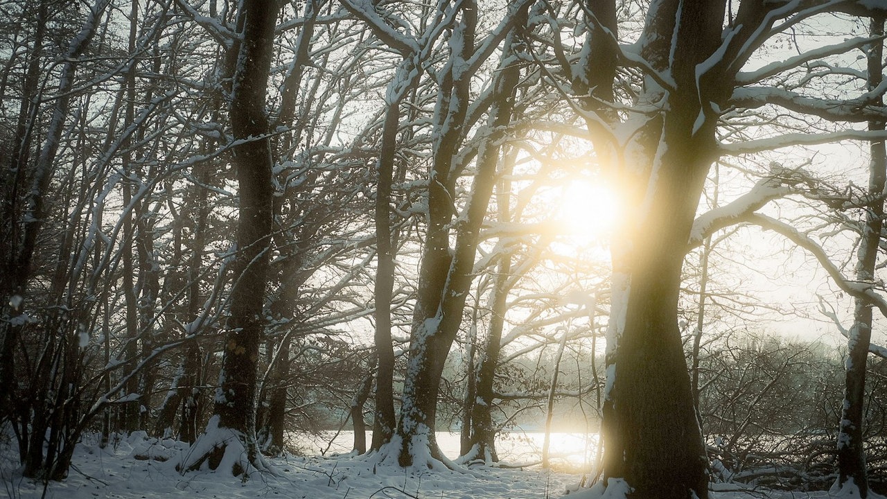 Wintersonnen-Foto