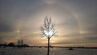 Wintersonnen-Foto