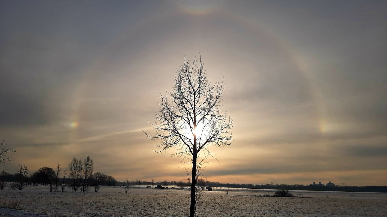 Wintersonnen-Foto