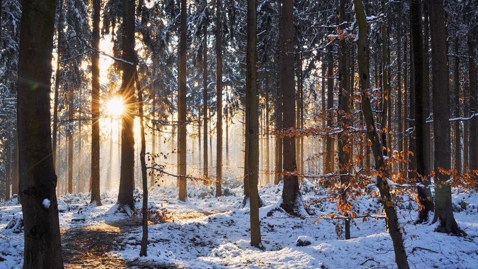 Wintersonnen-Foto