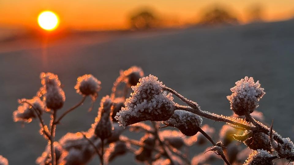 Wintersonnen-Foto