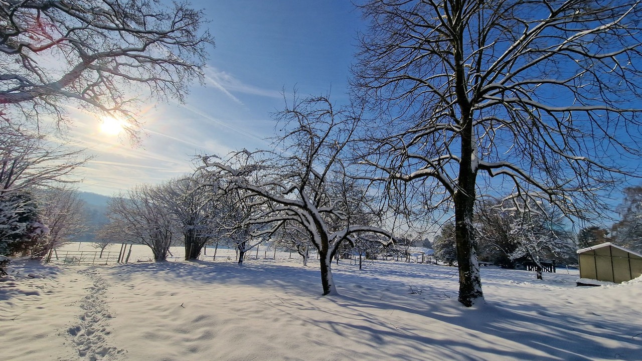 Wintersonnen-Foto