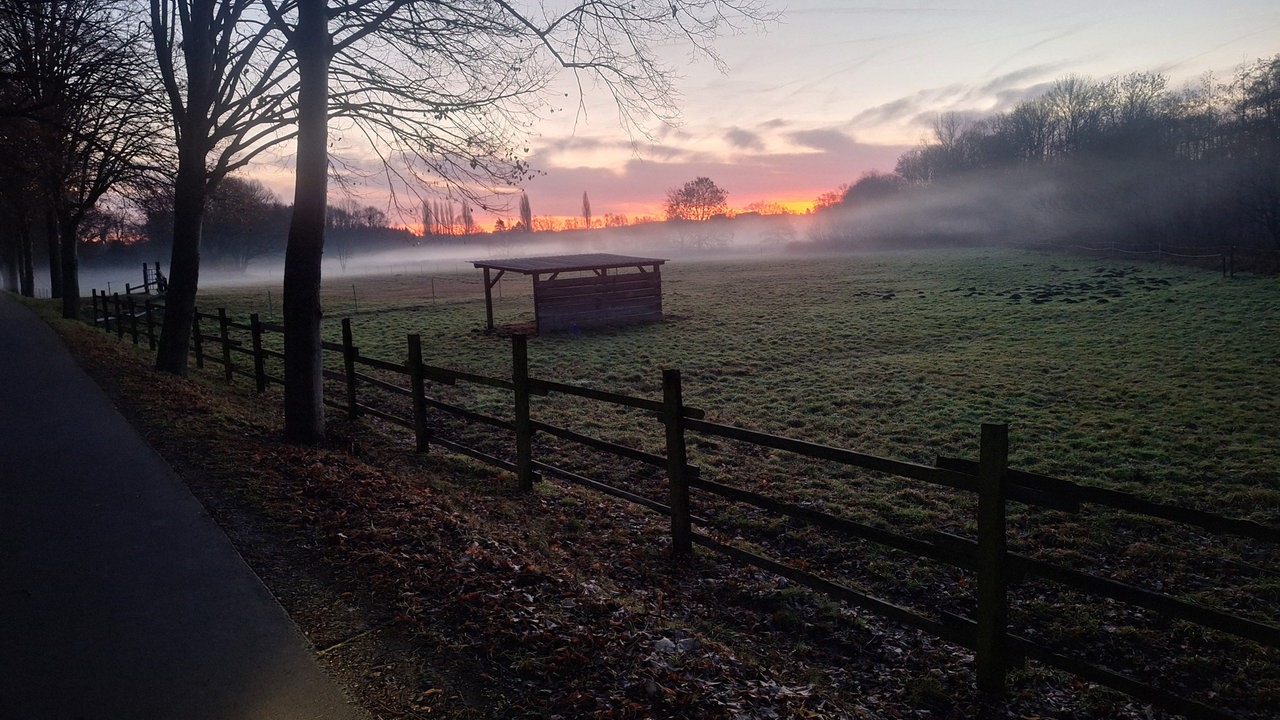 Wintersonnen-Foto