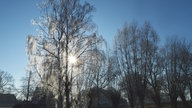 Wintersonnen-Foto