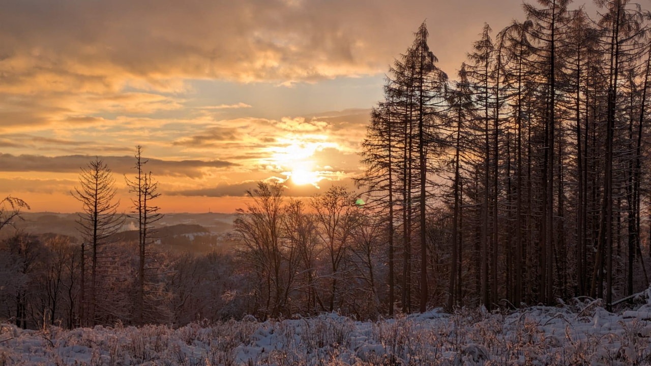 Wintersonnen-Foto