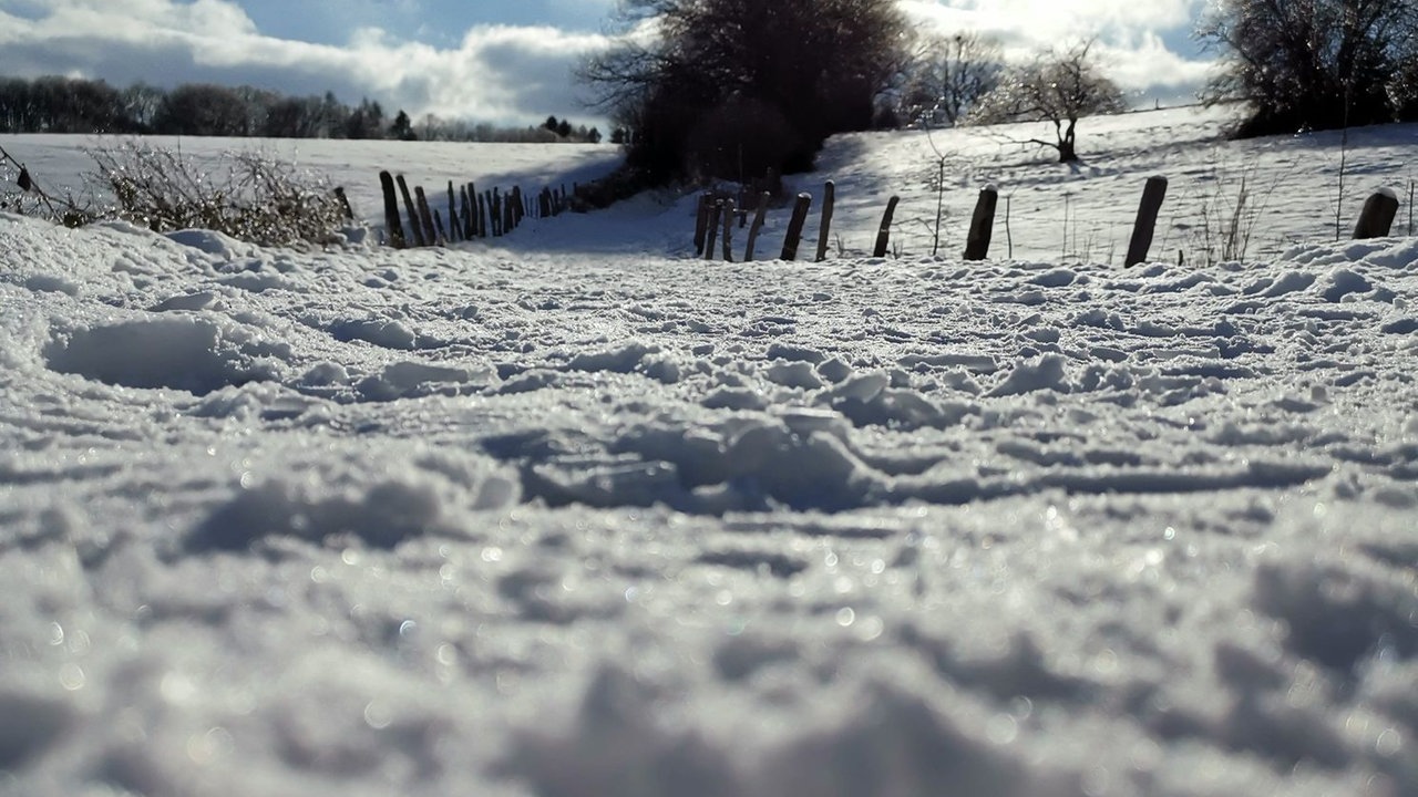 Wintersonnen-Foto