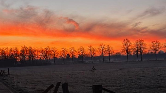 Wintersonnen-Foto