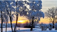 Wintersonnen-Foto