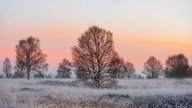 Wintersonnen-Foto